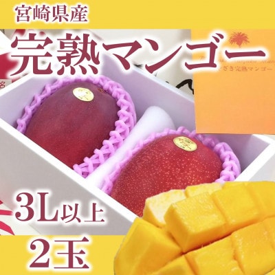 【先行予約】期間限定・数量限定　宮崎県産完熟マンゴー3L～4Lサイズ2玉化粧箱入り【B-0602】 | ふるさと納税のお礼品