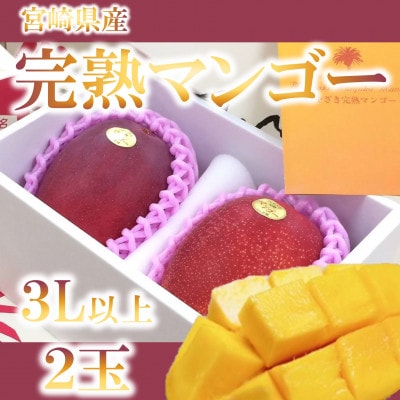 期間限定・数量限定　宮崎県産完熟マンゴー3L～4Lサイズ2玉化粧箱入り【B-0602】