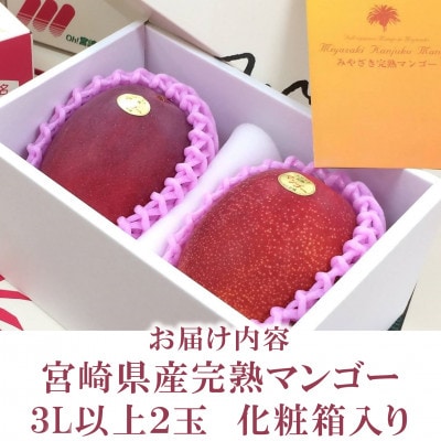 期間限定・数量限定　宮崎県産完熟マンゴー3L～4Lサイズ2玉化粧箱入り【B-0602】
