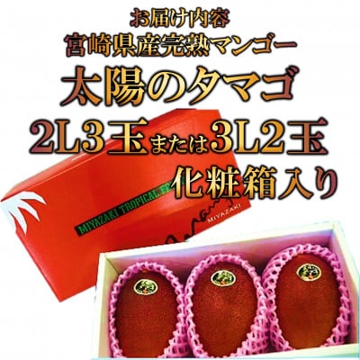 期間限定・数量限定　宮崎県産完熟マンゴー太陽のタマゴ約900g2L3玉or3L2玉【B-0606】