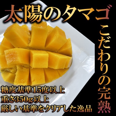 期間限定・数量限定　宮崎県産完熟マンゴー 太陽のタマゴ3L以上2玉【MI518】