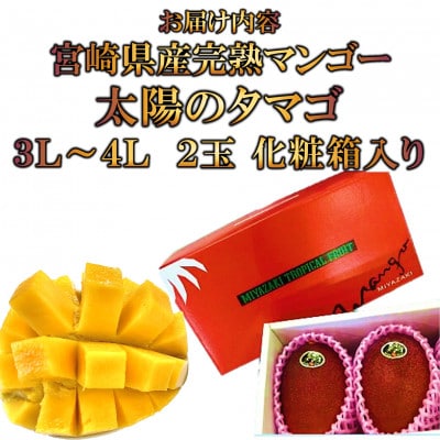 期間限定・数量限定　宮崎県産完熟マンゴー 太陽のタマゴ3L以上2玉【MI518】