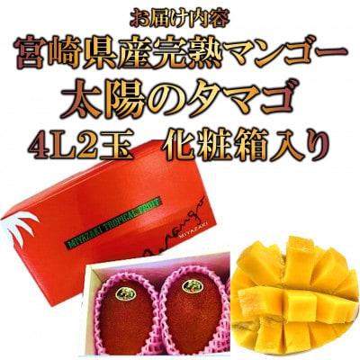 期間限定・数量限定　宮崎県産完熟マンゴー 太陽のタマゴ4Lサイズ2玉【MI517】