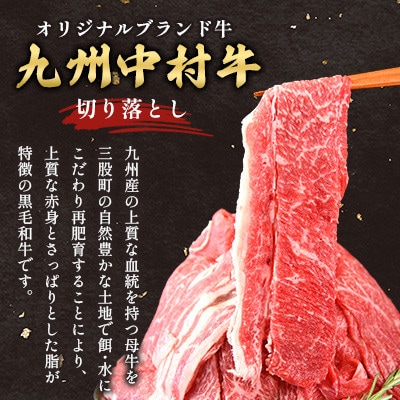 黒毛和牛 中村牛切り落とし 合計 約1kg(250g×4パック)(三股町)
