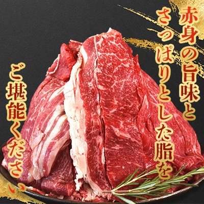 黒毛和牛 中村牛切り落とし 合計 約1kg(250g×4パック)(三股町)