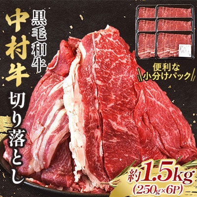 黒毛和牛 中村牛切り落とし 合計 約1.5kg(250g×6パック)(三股町)