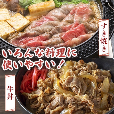 黒毛和牛 中村牛切り落とし 合計 約1.5kg(250g×6パック)(三股町)