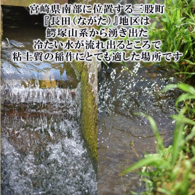 高橋さん家のおいしいお米 5kg【MI526】