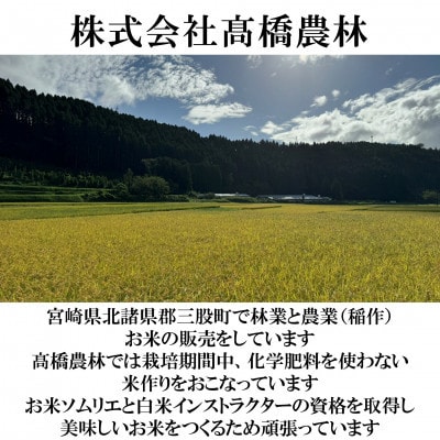 高橋さん家のおいしいお米 10kg【MI527】