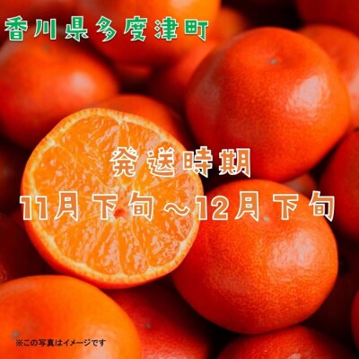 『小原紅早生みかん』約5kg【A-32】