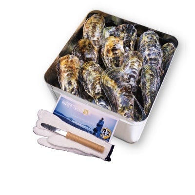 多度津白方 殻付活牡蠣カンカン焼セット 4kg(加熱用)【B-7】