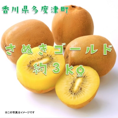 香川県オリジナルキウイフルーツ『さぬきゴールド』約3kg【B-17】