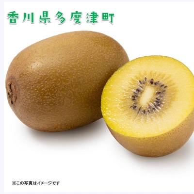 香川県オリジナルキウイフルーツ『さぬきゴールド』約3kg【B-17】