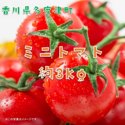 ミニトマト　約3kg【B-23】