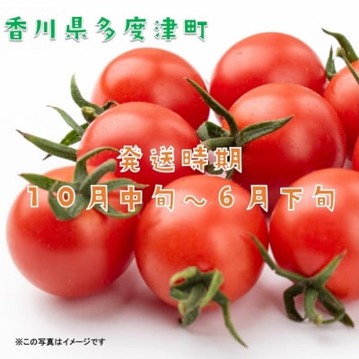 ミニトマト　約3kg【B-23】