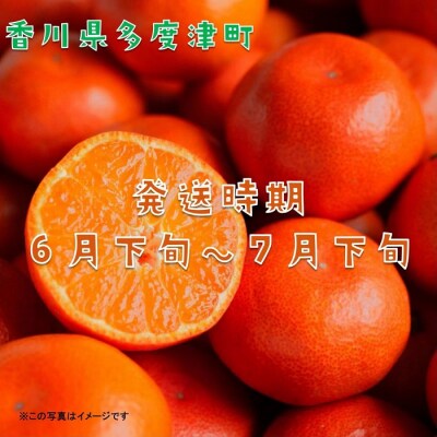 『小原紅早生ハウスみかん』約2kg【令和8年6月下旬より発送!】【B-26】