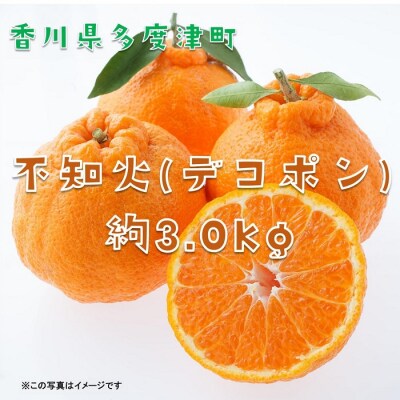 不知火(デコポン)約3kg【令和9年2月中旬より発送】【A-42】