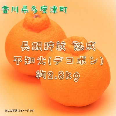 長期貯蔵 熟成 不知火(でこぽん)約2.8kg【令和7年5月中旬より発送】【B-29】