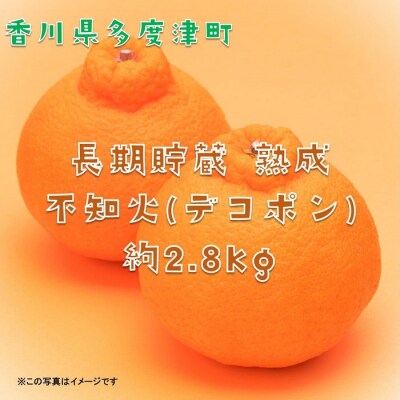 長期貯蔵 熟成 不知火(でこぽん)約2.8kg【令和8年5月中旬より発送】【B-29】