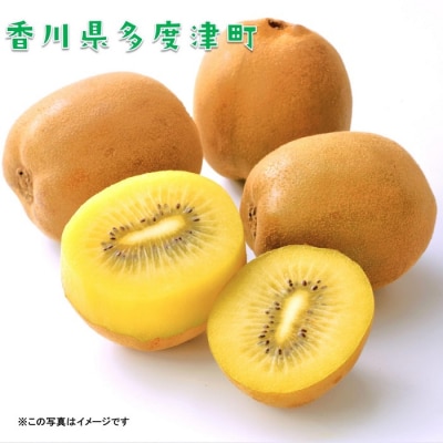 香川県オリジナルキウイフルーツ『さぬきゴールド』大玉約3.5kg【C-16】