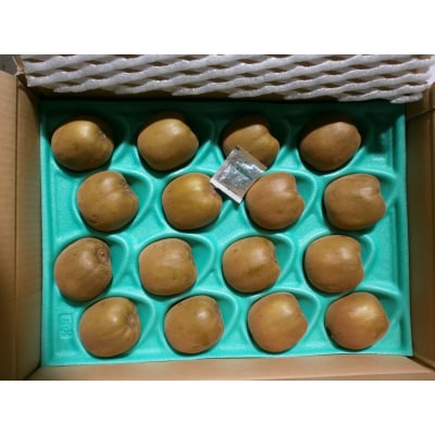 香川県オリジナルキウイフルーツ『さぬきゴールド』大玉約3.5kg【C-16】
