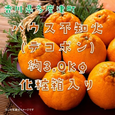 不知火(デコポン)ハウス栽培 約3kg【令和7年12月下旬頃～】【B-32】