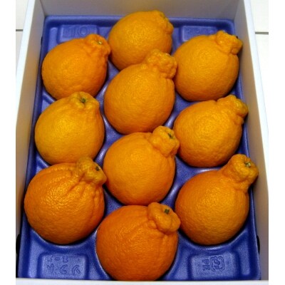 不知火 デコポン ハウス栽培 約3kg 令和4年12月中旬頃 B 32 お礼品詳細 ふるさと納税なら さとふる