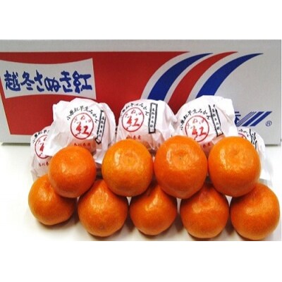 『越冬小原紅早生みかん』約3kg【令和9年1月頃より発送!】【B-33】