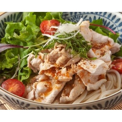 しあわせ製麺の本場讃岐純生うどん大盛45人前 つゆ付き【H-39】