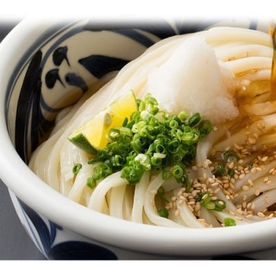 【定期便】本場純生讃岐うどん 10人前つゆ付 年6回奇数月に発送【H-48】
