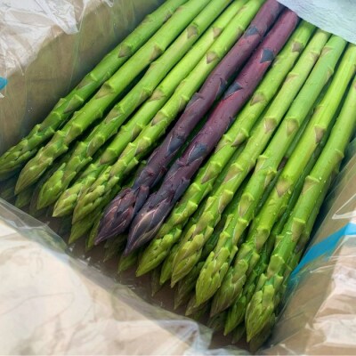 アスパラ王子が育てた自慢のアスパラ「2Lサイズ」1kg【御用意出来次第発送】【H-55】