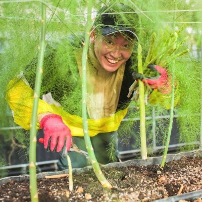 アスパラ王子が育てた自慢のアスパラ「2Lサイズ」1kg【御用意出来次第発送】【H-55】