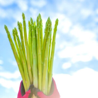 アスパラ王子が育てた自慢のアスパラ「2Lサイズ」1kg【御用意出来次第発送】【H-55】