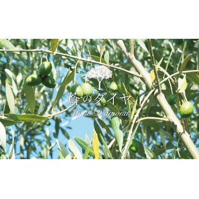 蒼のダイヤ オリーブオイル(イタリア産・多度津町ブレンド)90g×1本【L-1】