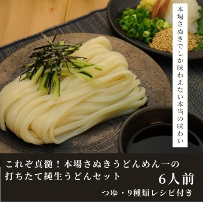 純生!これぞ真髄!本場さぬきうどんめん一の打ちたてうどんセット(6人前)【L-11】