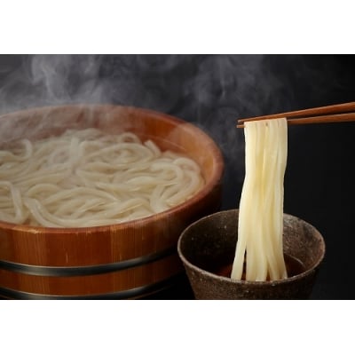 純生!これぞ真髄!本場さぬきうどんめん一の打ちたてうどんセット(6人前)【L-11】