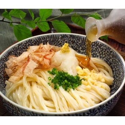 純生!これぞ真髄!本場さぬきうどんめん一の打ちたてうどんセット(6人前)【L-11】