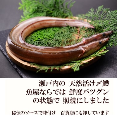 鱧の照り焼き(100g×5切れ)【冷凍】【A-44】