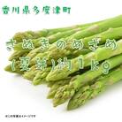 さぬきのめざめ(夏芽)【令和7年6月中旬より発送!】【A-27】