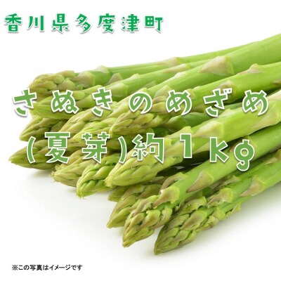 さぬきのめざめ(夏芽)【令和7年6月中旬より発送!】【A-27】