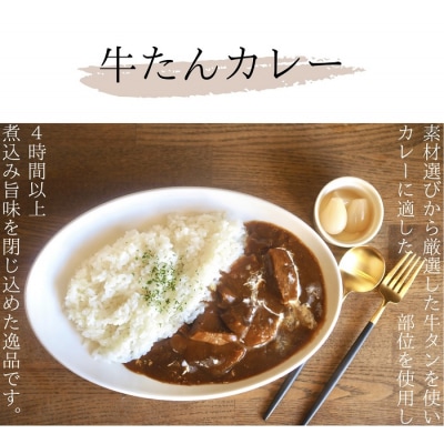 牛たんカレー5個セット【B-42】