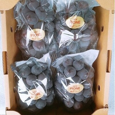 島田農園　ピオーネ2kg(3房～4房入り)【令和8年8月中旬頃発送!先行受付中】【A-78】