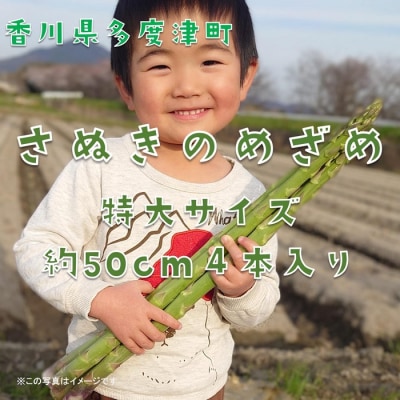  【多度津町産】さぬきのめざめ(特大サイズ約50cm)4本入り【L-34】 