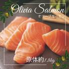 オリーブサーモン　1尾(半身カット)【B-512】