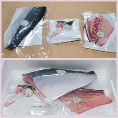 オリーブハマチ ハーフ(半身カット)【先行受付:令和8年10月中旬頃から出荷開始!】【B-811】