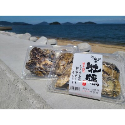 多度津のブランド牡蠣『白方かき』簡単調理レンジで蒸牡蠣 殻付き6個入り2パック【L-36】
