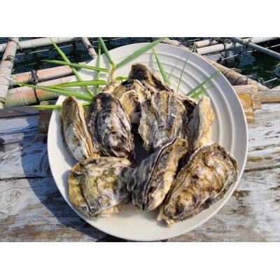 多度津のブランド牡蠣『白方かき』簡単調理レンジで蒸牡蠣 殻付き6個入り2パック【L-36】