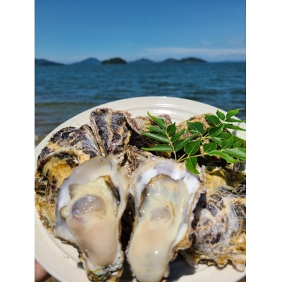 多度津のブランド牡蠣『白方かき』2kg 白方漁港直送　加熱調理用 殻付き生カキ【A-86】