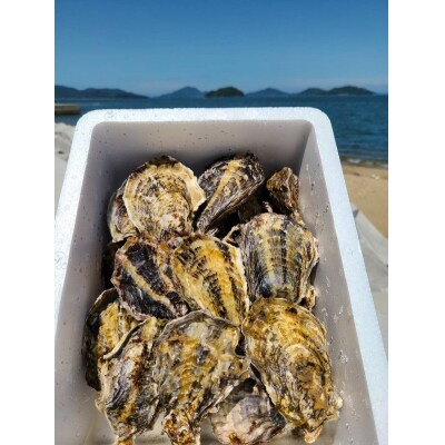 多度津のブランド牡蠣『白方かき』2kg 白方漁港直送　加熱調理用 殻付き生カキ【A-86】