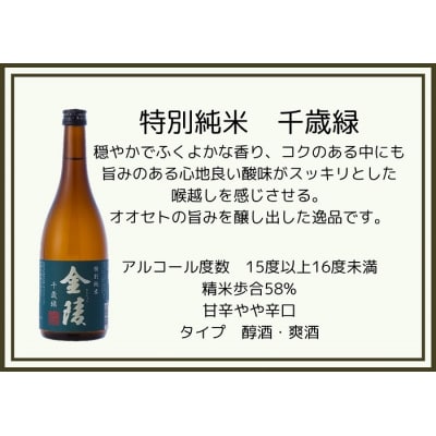 NIPPON COLORS　720ml　4本セット【H-33】